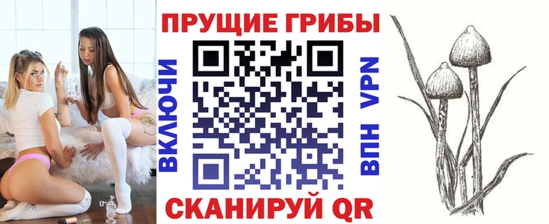 Псилоцибиновые грибы мухоморы  omg как войти  Петров Вал  где купить  